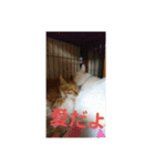 ミント家（個別スタンプ：1）