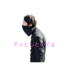 みやきの（個別スタンプ：7）