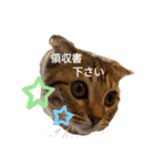 ミモザさんスタンプ3飲み会篇（個別スタンプ：7）