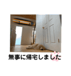 大福とさぶ（個別スタンプ：18）
