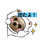 チワワのちぃちゃん（第3弾）（個別スタンプ：22）