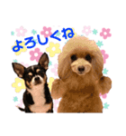 マティラとノアールの毎日（個別スタンプ：1）