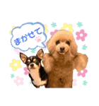 マティラとノアールの毎日（個別スタンプ：5）