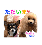 マティラとノアールの毎日（個別スタンプ：8）