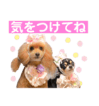 マティラとノアールの毎日（個別スタンプ：9）