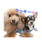 マティラとノアールの毎日（個別スタンプ：10）
