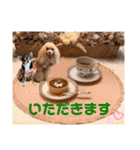 マティラとノアールの毎日（個別スタンプ：15）