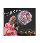 マティラとノアールの毎日（個別スタンプ：16）
