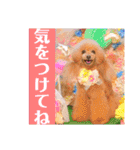 マティラとノアールの毎日（個別スタンプ：27）