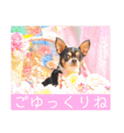 マティラとノアールの毎日（個別スタンプ：32）
