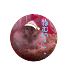 ダッフィーハム（個別スタンプ：1）