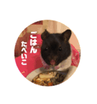 ダッフィーハム（個別スタンプ：3）