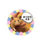 ダッフィーハム（個別スタンプ：7）