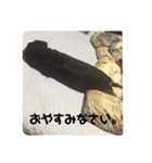 ラルくんの日常（個別スタンプ：5）
