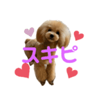 モム（個別スタンプ：1）