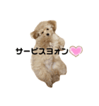 モム（個別スタンプ：2）