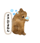 モム（個別スタンプ：8）