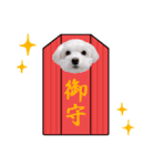 白い犬のお祝い（個別スタンプ：17）