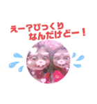 金澤家のにゃんずと仲間たちの日常（個別スタンプ：10）