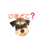 ジャックとひな（個別スタンプ：4）