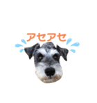 ジャックとひな（個別スタンプ：8）