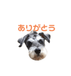 ジャックとひな（個別スタンプ：10）