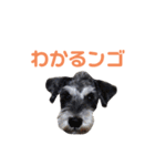 ジャックとひな（個別スタンプ：12）
