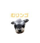 ジャックとひな（個別スタンプ：16）