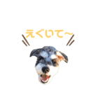 ジャックとひな（個別スタンプ：19）