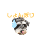 ジャックとひな（個別スタンプ：20）