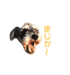 ジャックとひな（個別スタンプ：22）