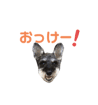 ジャックとひな（個別スタンプ：24）