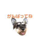 ジャックとひな（個別スタンプ：25）