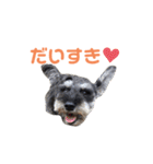 ジャックとひな（個別スタンプ：30）