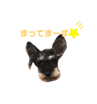 ジャックとひな（個別スタンプ：31）