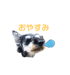 ジャックとひな（個別スタンプ：32）