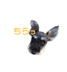 ジャックとひな（個別スタンプ：35）