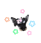 ジャックとひな（個別スタンプ：36）