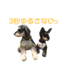 ジャックとひな（個別スタンプ：38）