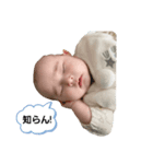 辛口ベイビー（個別スタンプ：3）