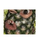 はるしか勝たん！！！（個別スタンプ：2）