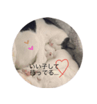 グレさんとベル坊のスタンプ（個別スタンプ：2）