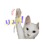 グレさんとベル坊のスタンプ（個別スタンプ：18）
