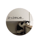 グレさんとベル坊のスタンプ（個別スタンプ：20）