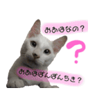 グレさんとベル坊のスタンプ（個別スタンプ：25）