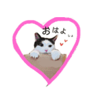 グレさんとベル坊のスタンプ（個別スタンプ：26）
