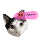 グレさんとベル坊のスタンプ（個別スタンプ：32）