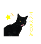 猫別府スタンプ（個別スタンプ：7）