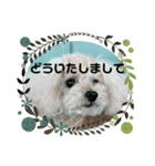 nanaちゃんooちゃん（個別スタンプ：11）