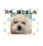 nanaちゃんooちゃん（個別スタンプ：14）